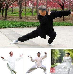 大自然太极拳教学视频,跟随自然节奏，体验和谐养生之道