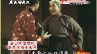 辇视频,穿越时空的视觉盛宴