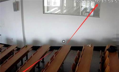 室内养虾技术视频教程,轻松掌握高效养殖方法