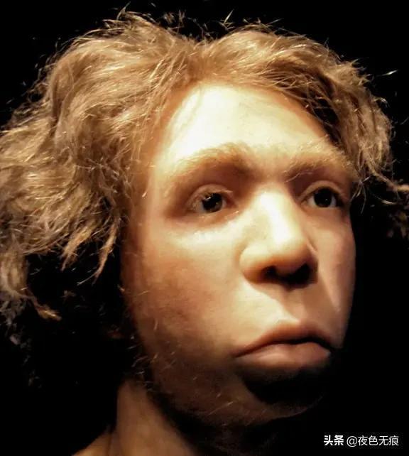 人类繁衍的过程视频,人类繁衍的神奇旅程